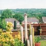 Img036