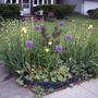 2008-06-03_rock_garden