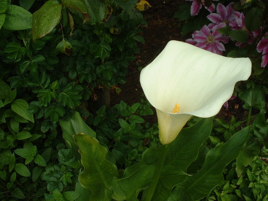 June_4th_2008_032.jpg