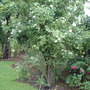 June_4th_2008_042.jpg