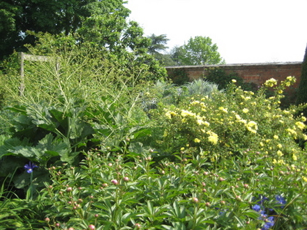 mottisfont_abbey_for_goy_-_11.jpg