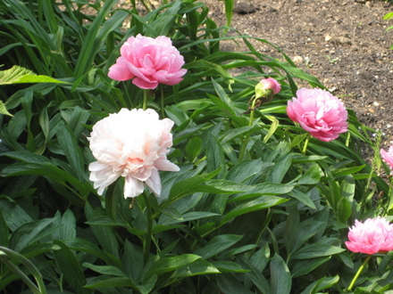 mottisfont_abbey_for_goy_-_13.jpg