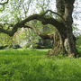 Mottisfont_abbey_for_goy_-_14