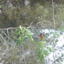 P1100043