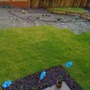 Back garden in Feb 2011