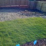 Slope in back garden, showing mulch