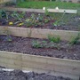 Terrace in place