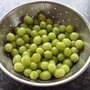 Gooseberries from our new allotment