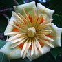 5-31-08_083