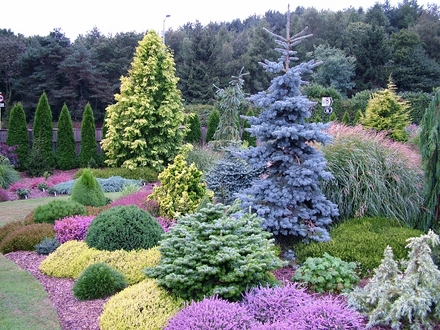 Foxhollow, Garden in late Summer