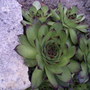 Photo-0058_p