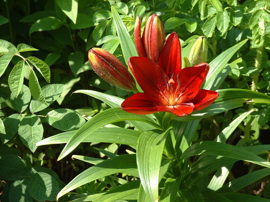 June_8th_2008_002.jpg