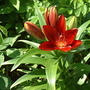 June_8th_2008_002