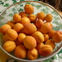 From my 2 yrs old Apricot tree