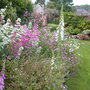 summer border 2