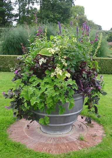 Large potted urn