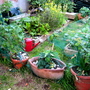 Garden_may_2008_-_02