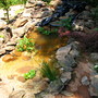 6-7-08_003