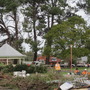 storm in the park
