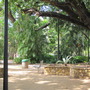 Park in the centre
