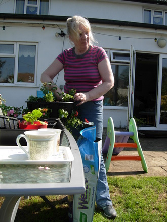 Me (Echium)