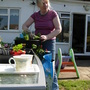 Me (Echium)