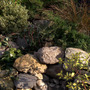 big rocks