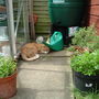 On Guard