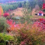 The_house_in_the_meadow_-_moving_up_into_the_arboritum