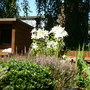 Fun_in_the_garden_08-2007__1_