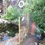 Jackie_s_Garden_Picture_s__19th_June_08_140.jpg