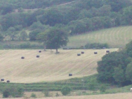 Hay- making