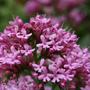 Test_11_006__large_