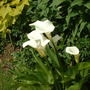 June_28th_2008_004