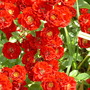 June_28th_2008_009