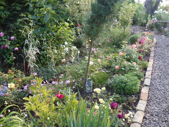 020 The 'Rose Garden' Border