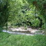 Picture_260