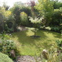 034 Spot the Heliopsis