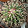 Picture_138