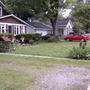 If I stopped buying plants, I could afford stone for the driveway, but what fun is that?