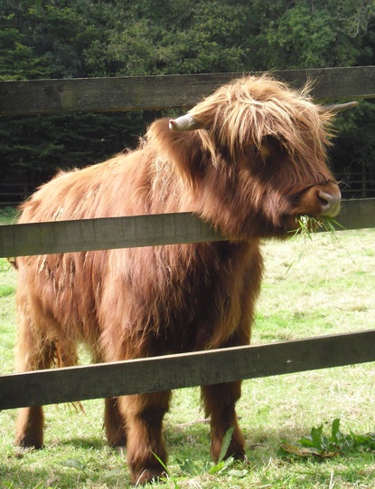 Bad hair day!