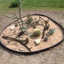 My new desert xeric bed in front lawn