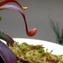 Nepenthes alba