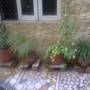Photo0604