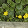 2008-07-01_031