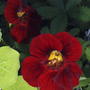 2008-07-01_004