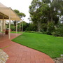 the lawn