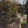 The Secret Garden