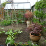 veggie plot