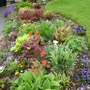 front garden flowerbed
